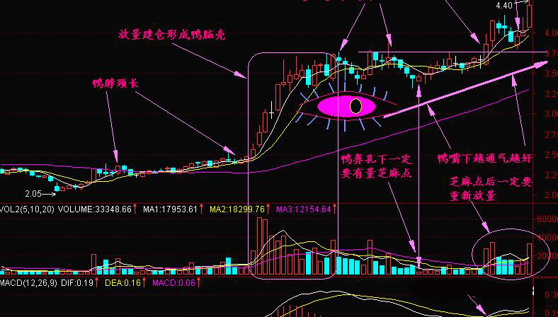 港股回升的时机与股价上涨的关键因素解析